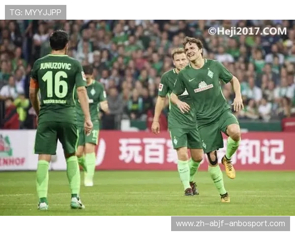 德甲球队更替原因与赛制影响因素探讨